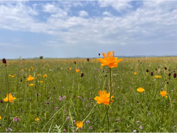 1751506913988526.png 001.png