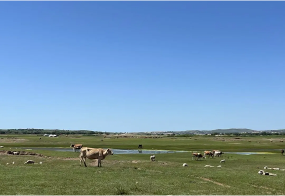 1751507479643239.png 004.png